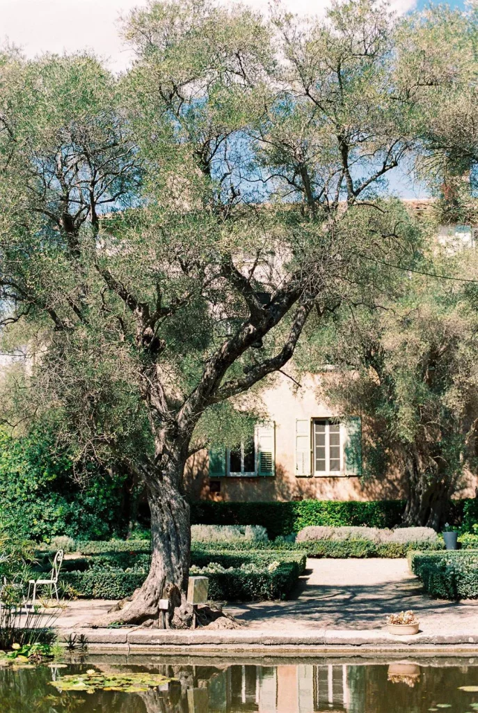 wedding french riviera